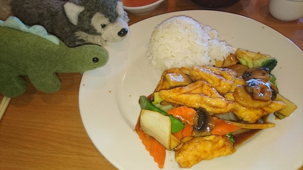 Lunch at the New Chinatown Tofu and vegetables with boiled rice